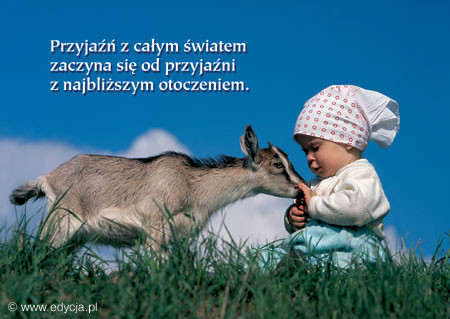 Wpis kolorowyyzelek