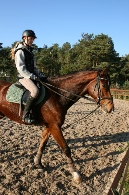 skarbek :**