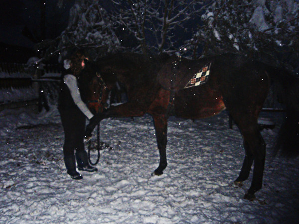 Wpis horsewomanroxy