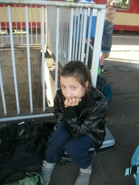 Te pocigi . ; //