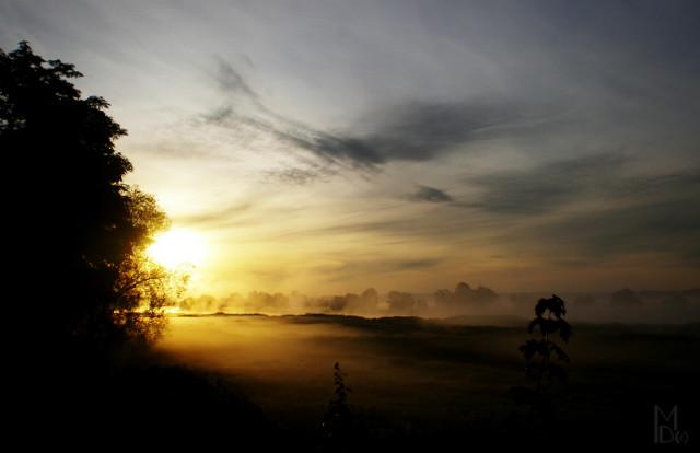 a new day
