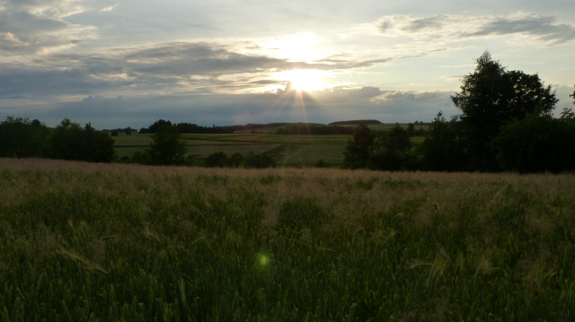 Wpis silanatylach