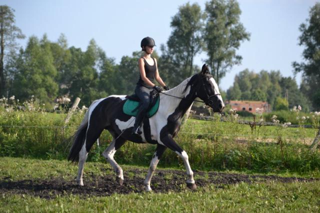 Norina