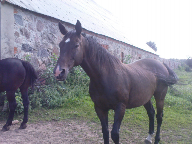 Kochamm ; ** 