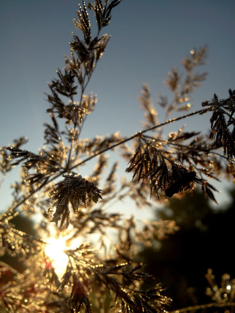 Last summer