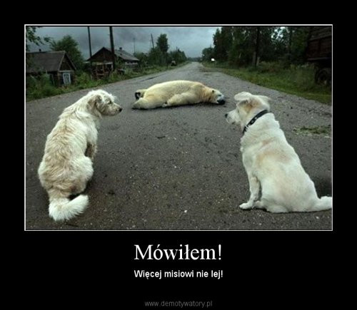 Wam:)