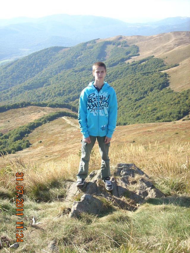 Tarnica