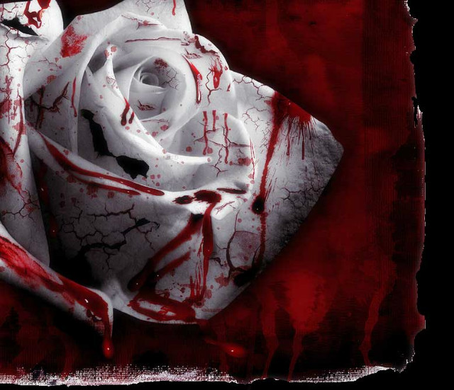 Wpis vampirelovers