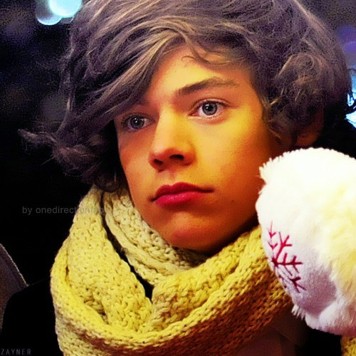 harry styles 