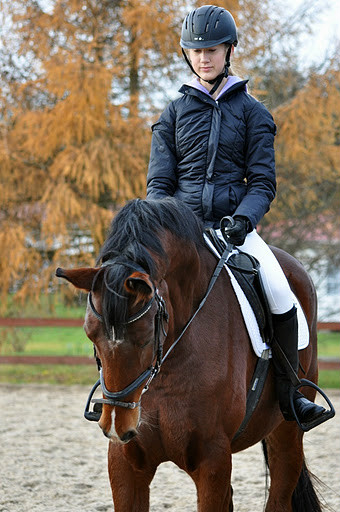 Skarb :***