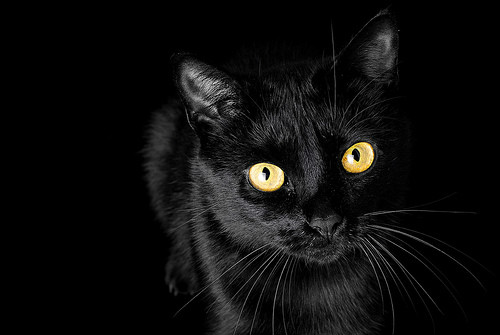 dark.dark.dark