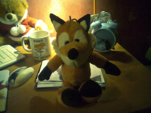 Fox !