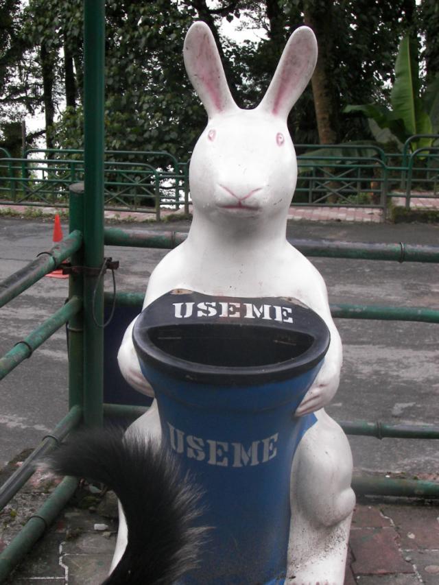 kosz