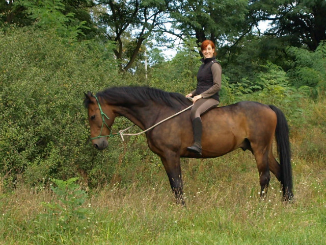 biskajowo