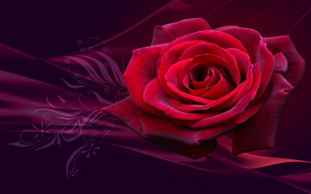 Wpis thesecretofbeauty
