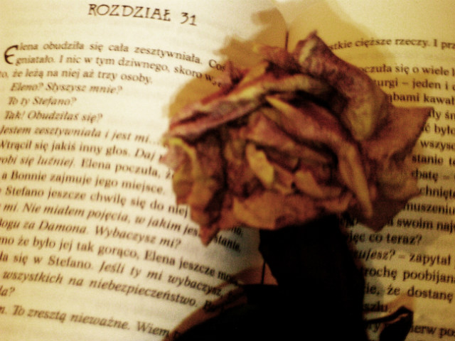 book and rose 