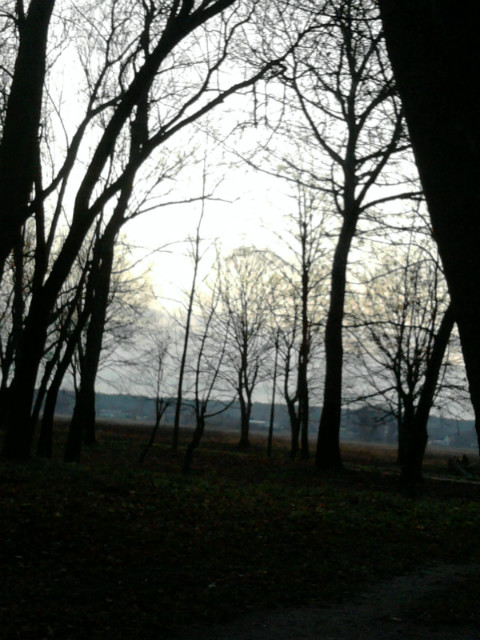 W moim nie.