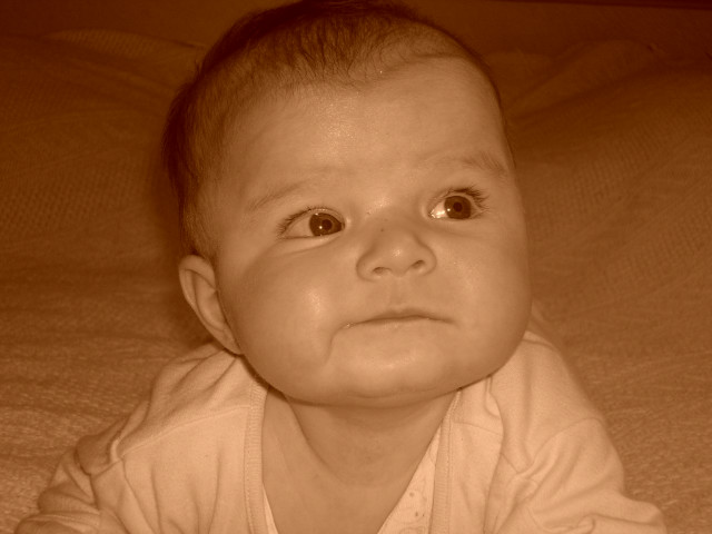 Majusia :**