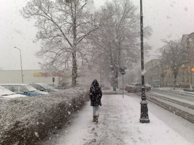 Zima 2010
