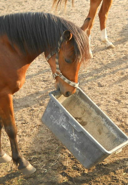 Rodeo - Lotnisko 