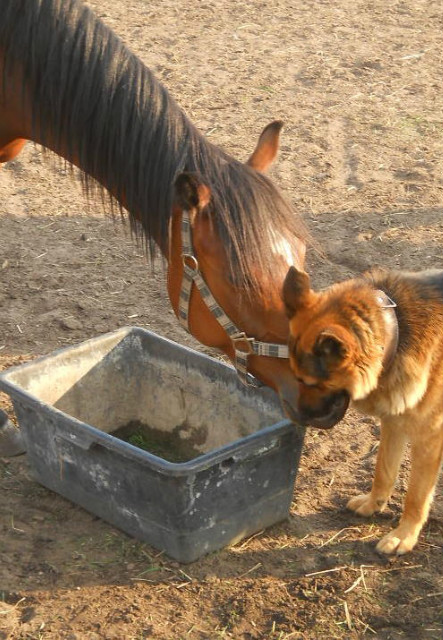 Rodeo i Parys- Lotnisko 