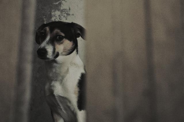 so sad, so alone...