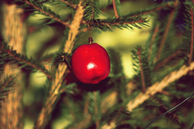 I WISH YOU A MERRY CHRISTMAS