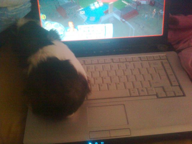 Kto ze mn posiedzi na laptopie?