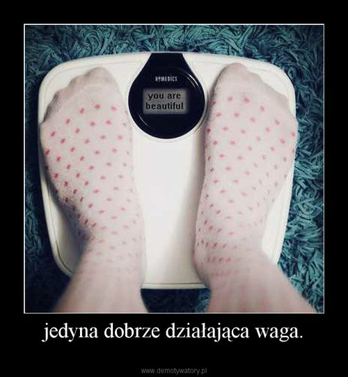 Wpis plannachudniecie