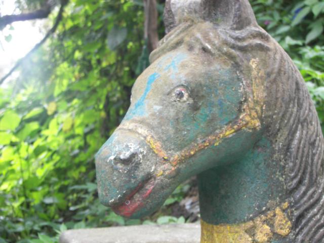 konik