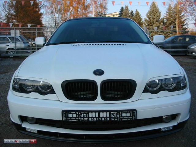 BMW 3 318