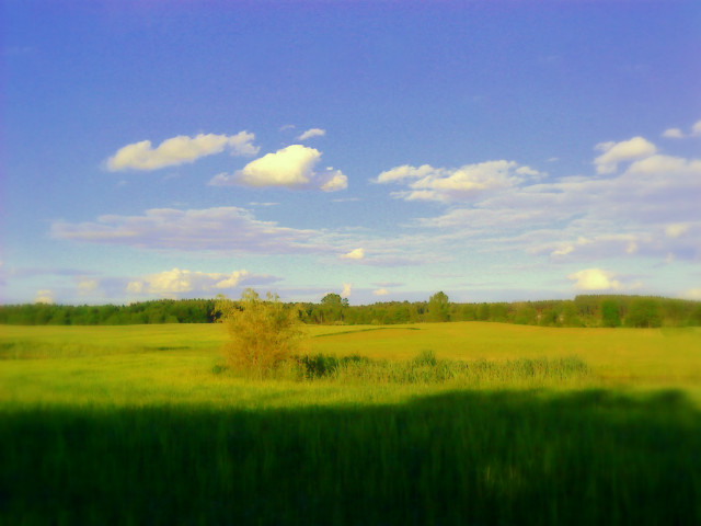 Countryside