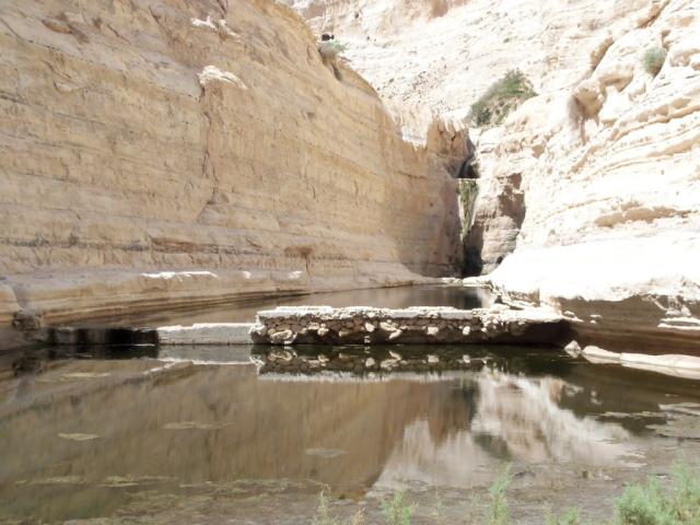 PUSTYNIA NEGEV