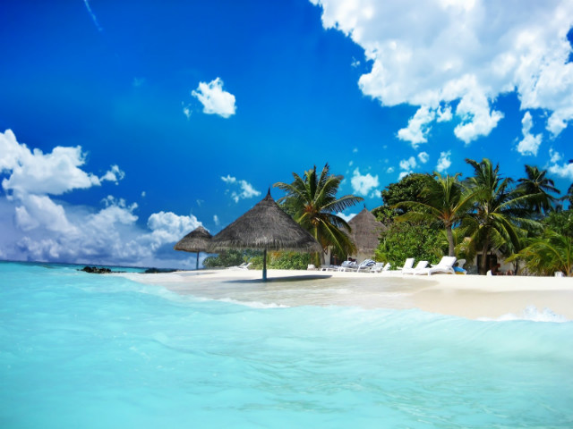 paradise
