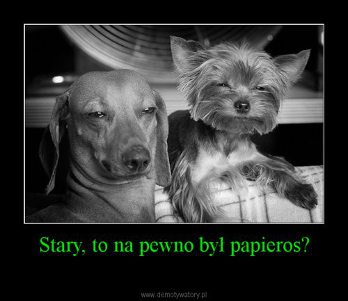 Wpis ciastkomac