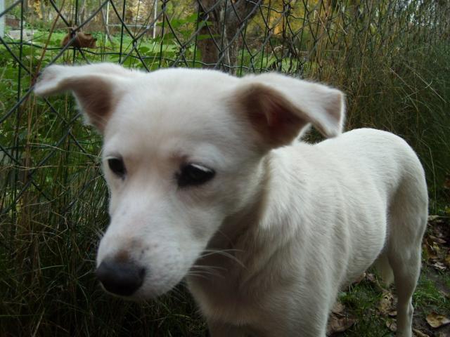 moja misia:))