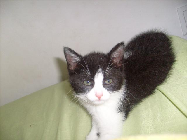 Wpis jola1999