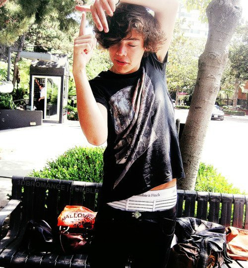 Wpis harrystylles