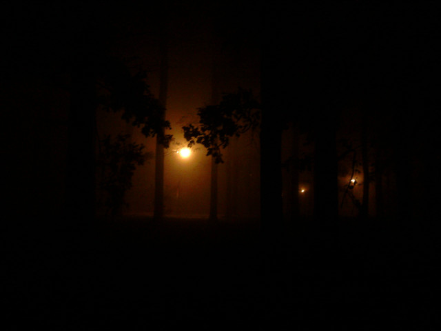Night wandering in the mind