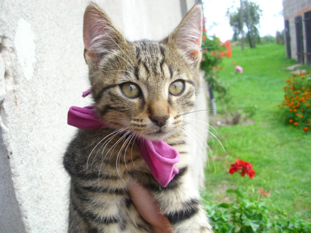 Benek &#9829;