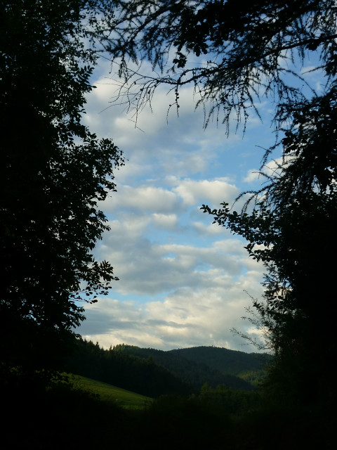 bogi Freiburg