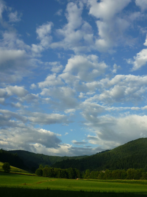 niebiasko