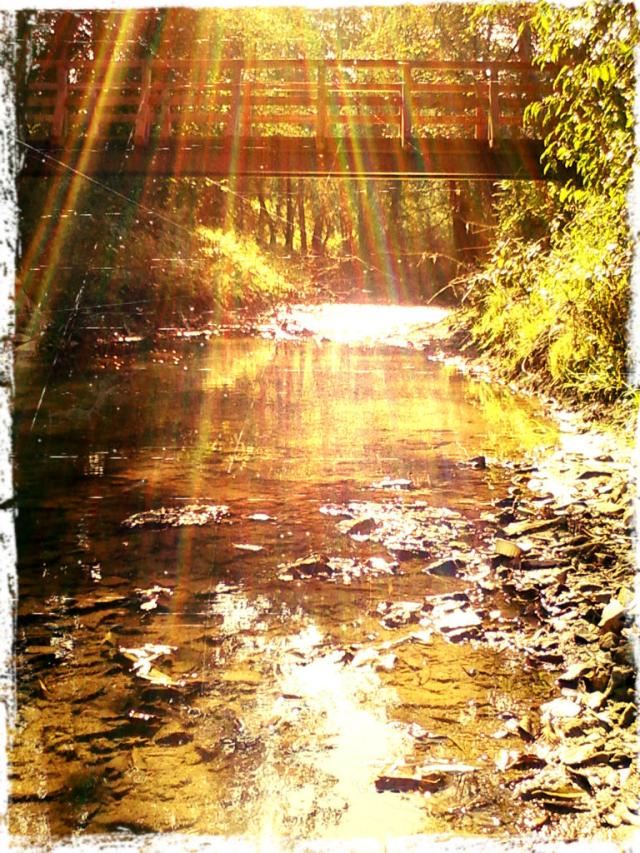 Magic Place