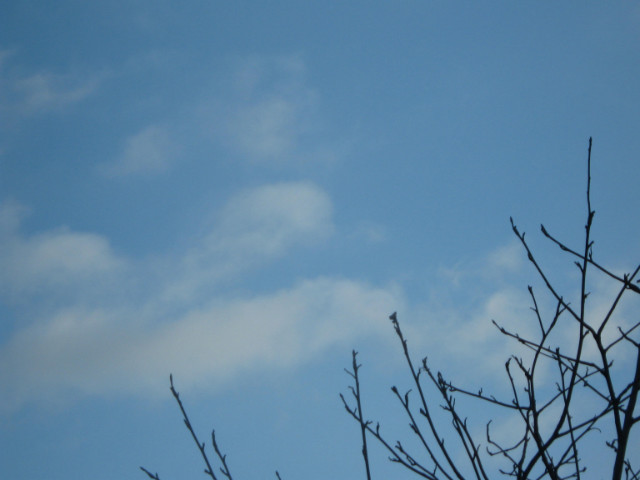 Wpis blusky