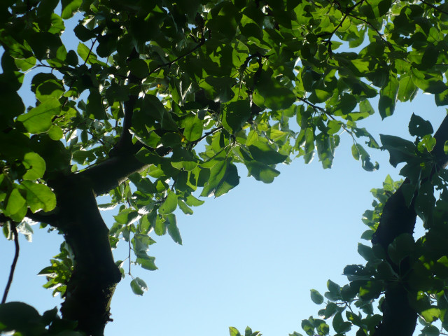 The blue sky is truly a miracle.
