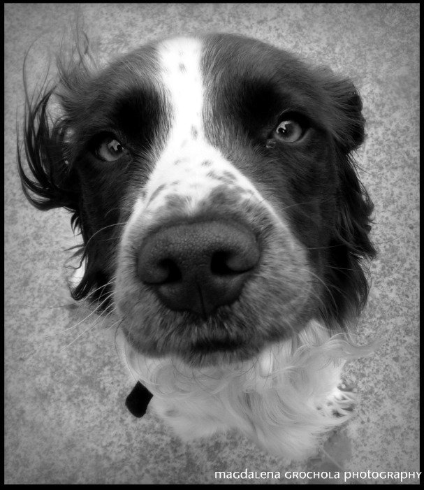 Charlie 