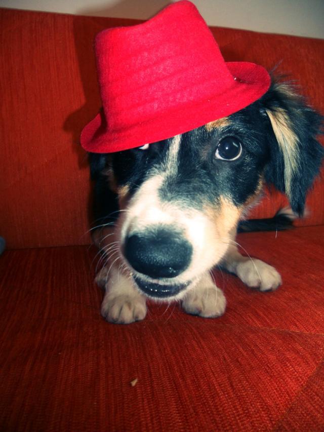 Wpis fotografiamojapasja