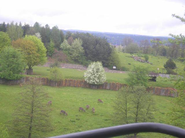 Czechy Zoo