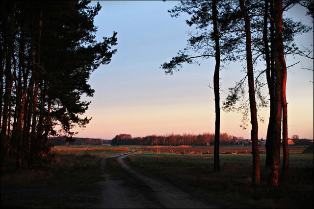 Wpis tominska