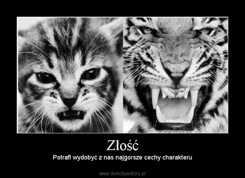 Wpis xmiloscbezgranicx
